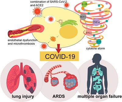 The Potential Role of Extracellular Vesicles in COVID-19 Treatment: Opportunity and Challenge